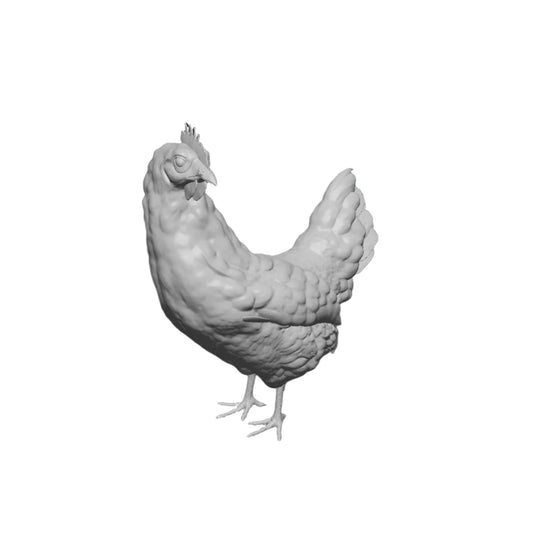 Huhn stehend
