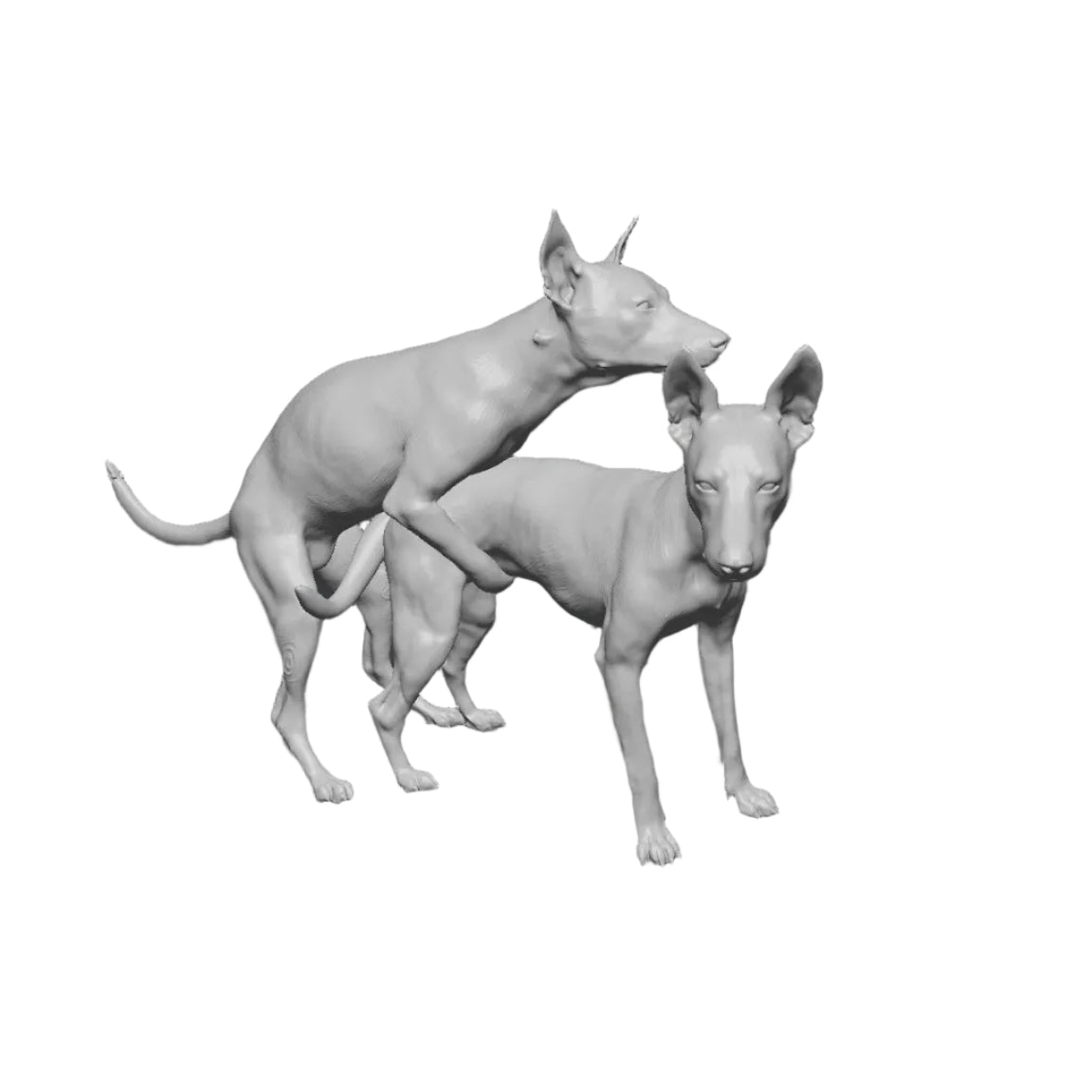 Hunde in interaktiver Szene