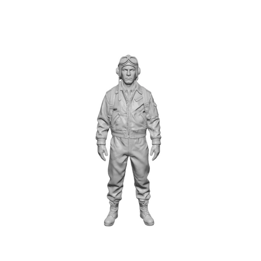 US WWII Pilot