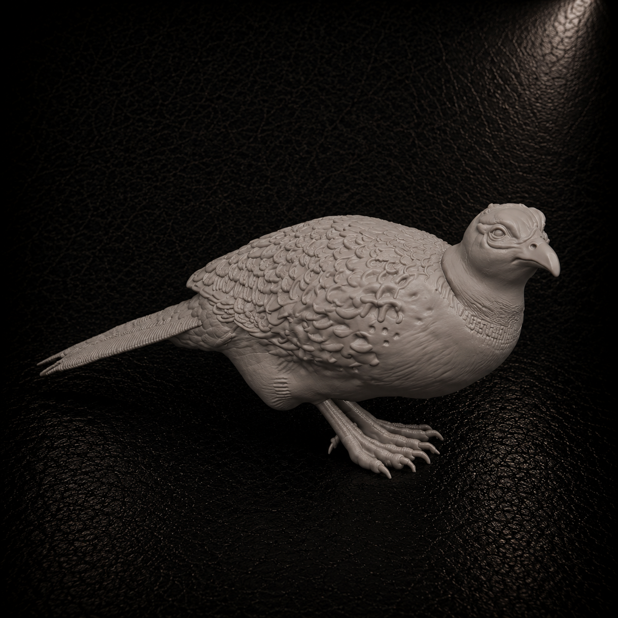 Pheasant hen standing