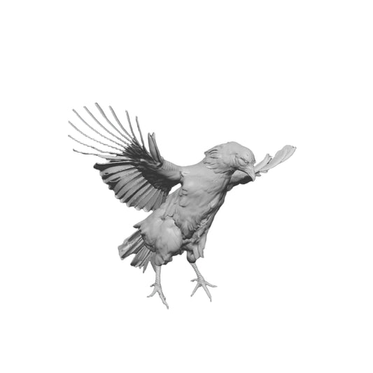 Pollo volador