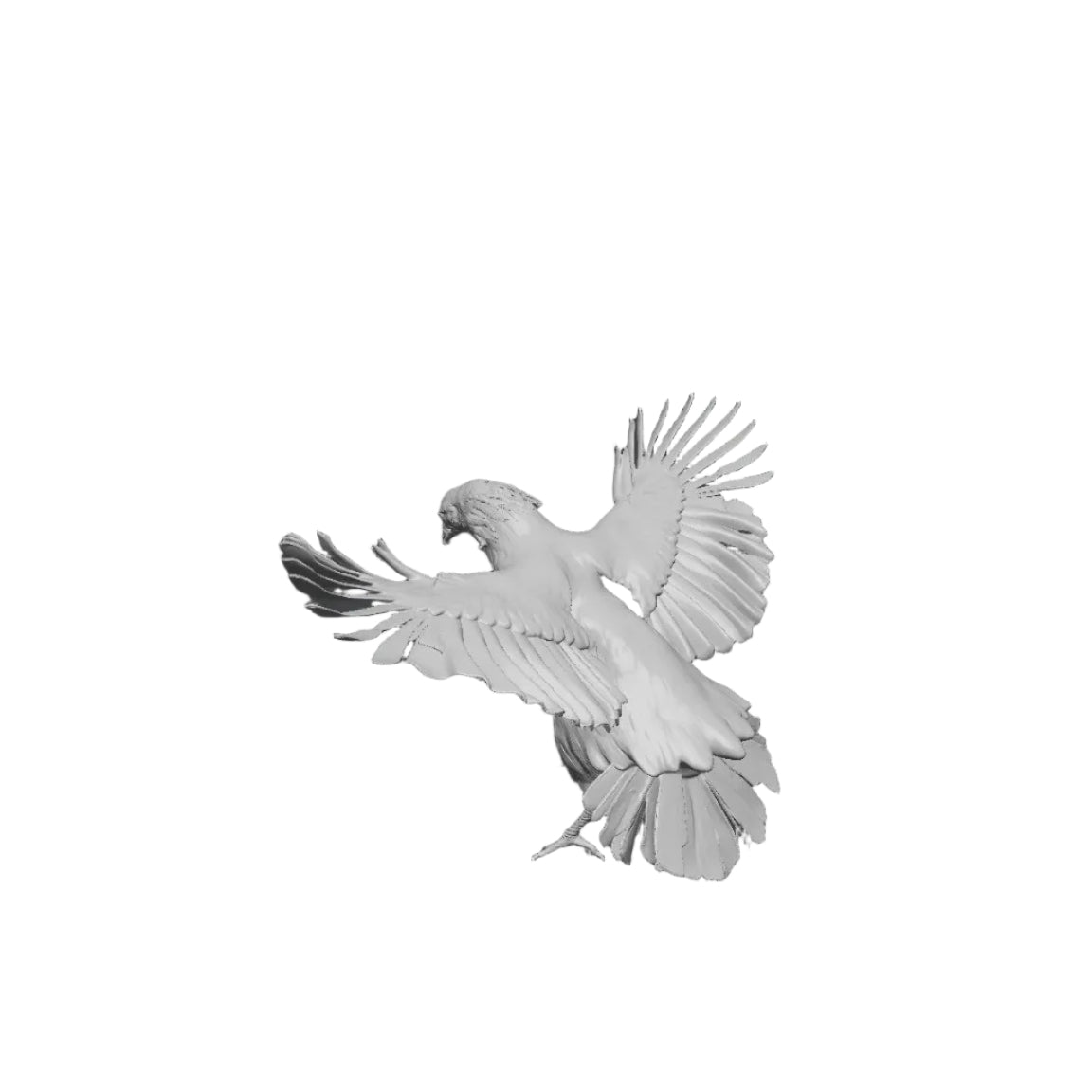 Chicken flying