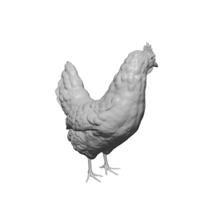 Huhn stehend