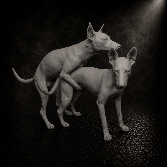Perros en una escena interactiva
