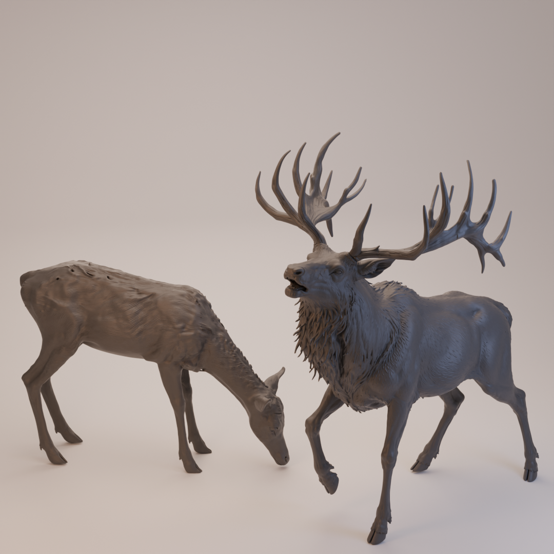 Ciervo Rojo & Cierva (Cervus elaphus) - Juego de 2 figuras